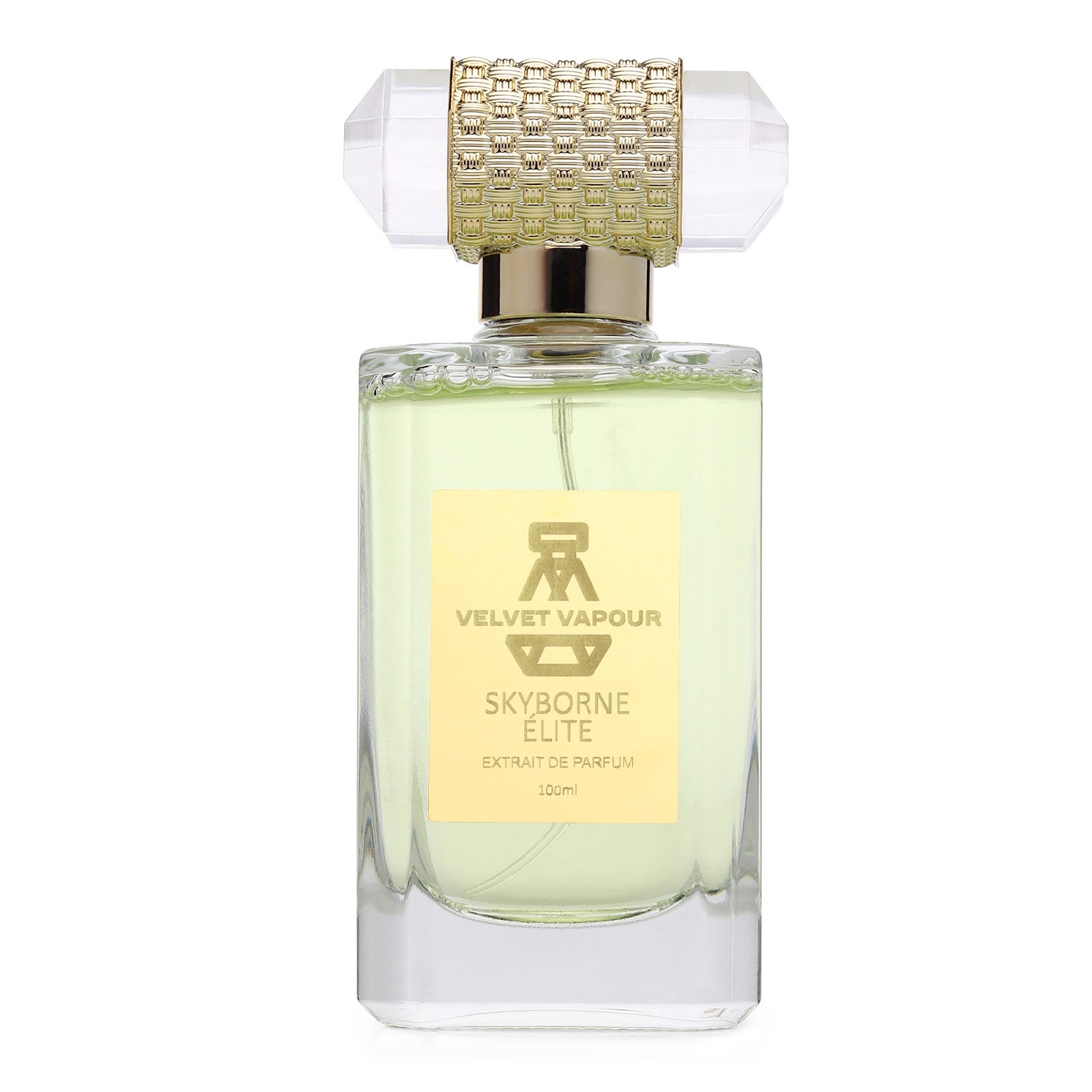 Skyborne Élite Extrait de Parfum 100 ml bottle by Velvet Vapour